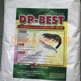 KHOÁNG THÁI – DP-BEST