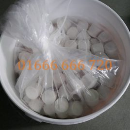 VI SINH VIÊN XỬ LÝ ĐÁY – BIO-B