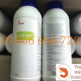 BỔ SUNG DINH DƯỠNG – CHICKTONIC