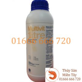 TĂNG TRỌNG – MULTIVIT