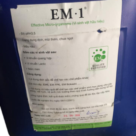 Men EM gốc