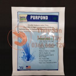VI SINH MỸ – PURPOND