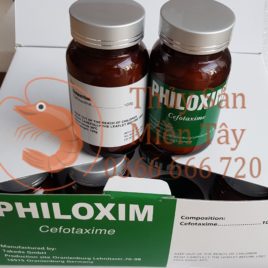 PHILOXIM